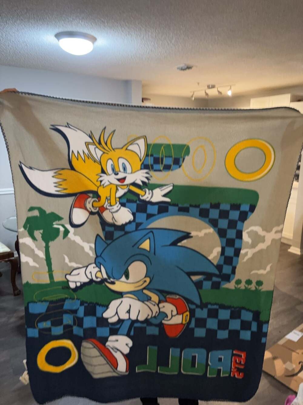 Sonic the Hedgehog Let's Roll Fleece Throw Blanket